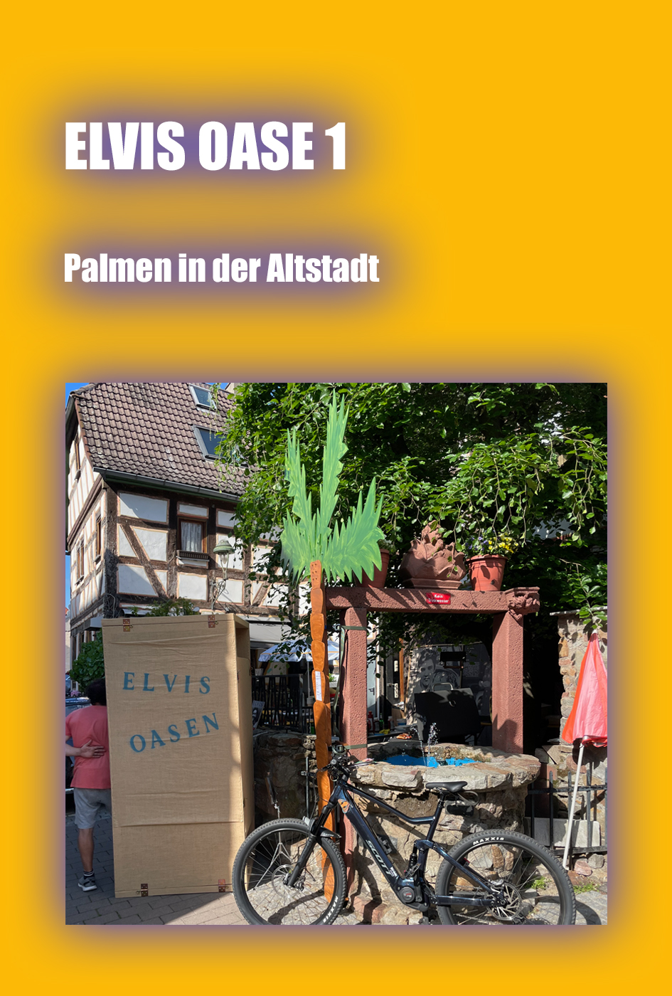 Bild