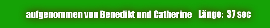 eingelesen