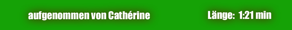 eingelesen